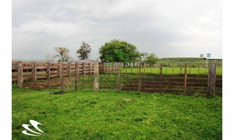 Fazenda contendo 2.000 hectares, localizada na Fronteira Oeste do RS